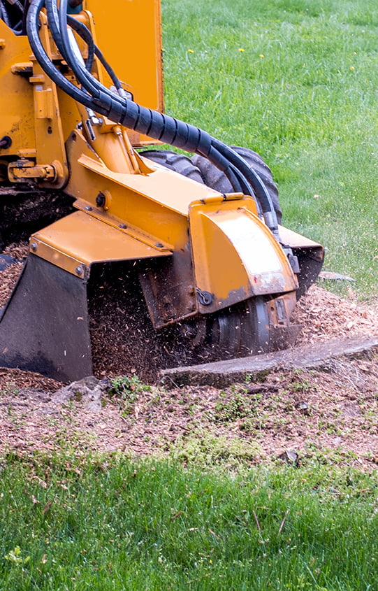 Stump Grinding